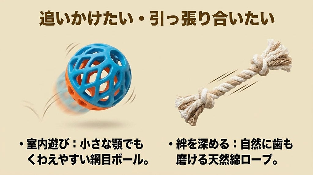 小さな顎でもくわえやすい網目状のラバーボールと、自然に歯も磨ける天然綿ロープのイラストを並べ、室内運動と絆を深める効果を解説するスライド
