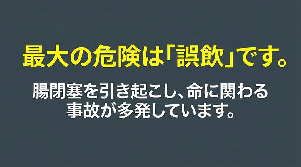 ぬいぐるみの誤飲が腸閉塞を引き起こし、命に関わる事故につながる危険性を警告するスライド