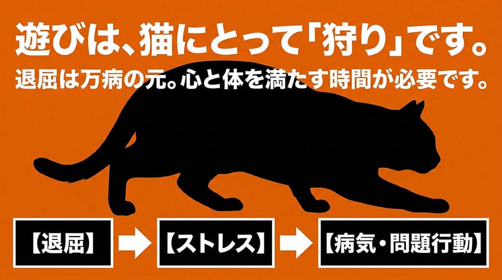 遊びは猫にとって「狩り」であり、退屈がストレスや病気、問題行動につながることを示す解説スライド。