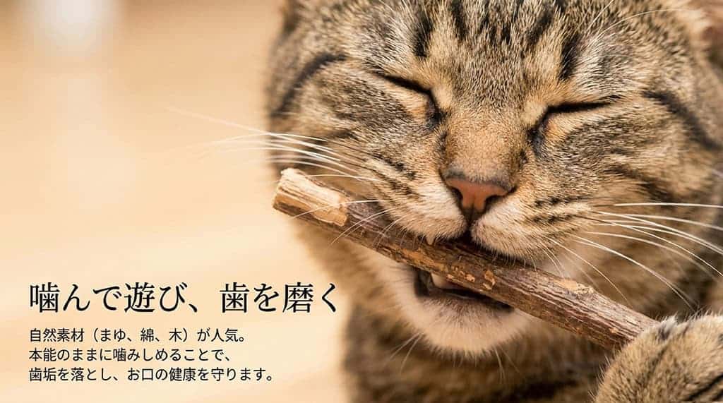 「噛んで遊び、歯を磨く。自然素材（まゆ、綿、木）が人気。本能のままに噛みしめることで、歯垢を落とし、お口の健康を守ります。」と書かれたスライド画像。