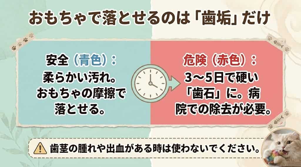 時計のイラストと共に「おもちゃで落とせるのは『歯垢』だけ」と書かれ、柔らかい汚れ(安全な青色)とおもちゃで落とせない3〜5日で硬くなる歯石(危険な赤色)の違いを説明するスライド