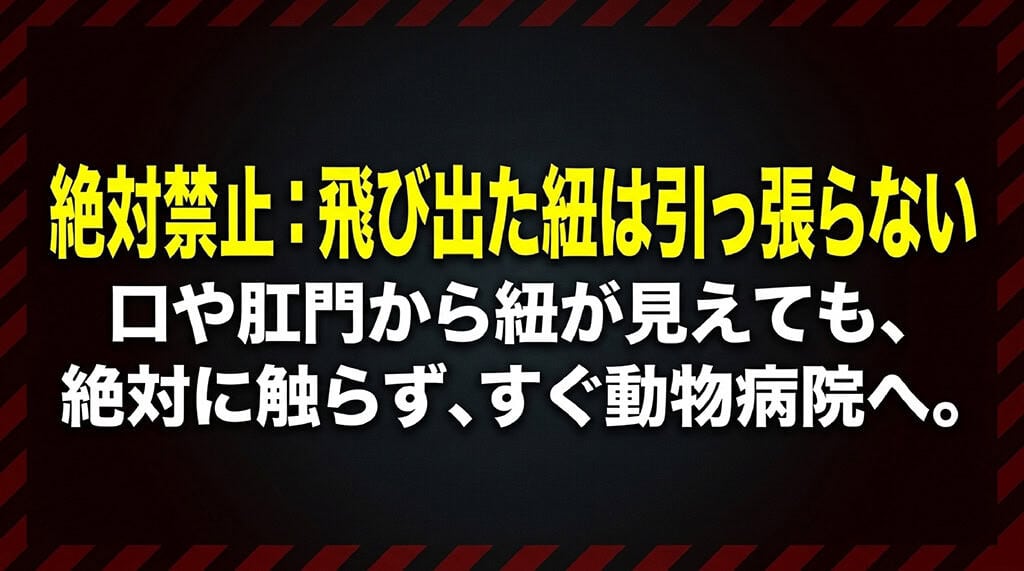 口や肛門から紐が見えても絶対に触らず、すぐ動物病院へ行くよう警告するスライド