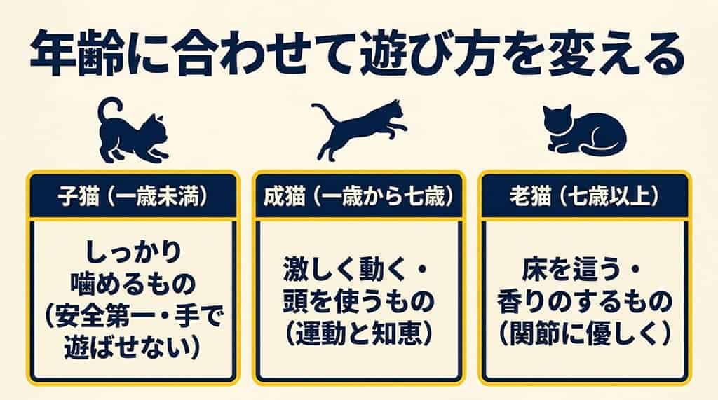 子猫、成猫、老猫（シニア猫）のそれぞれの年齢に合わせたおもちゃの選び方のポイントをまとめたスライド