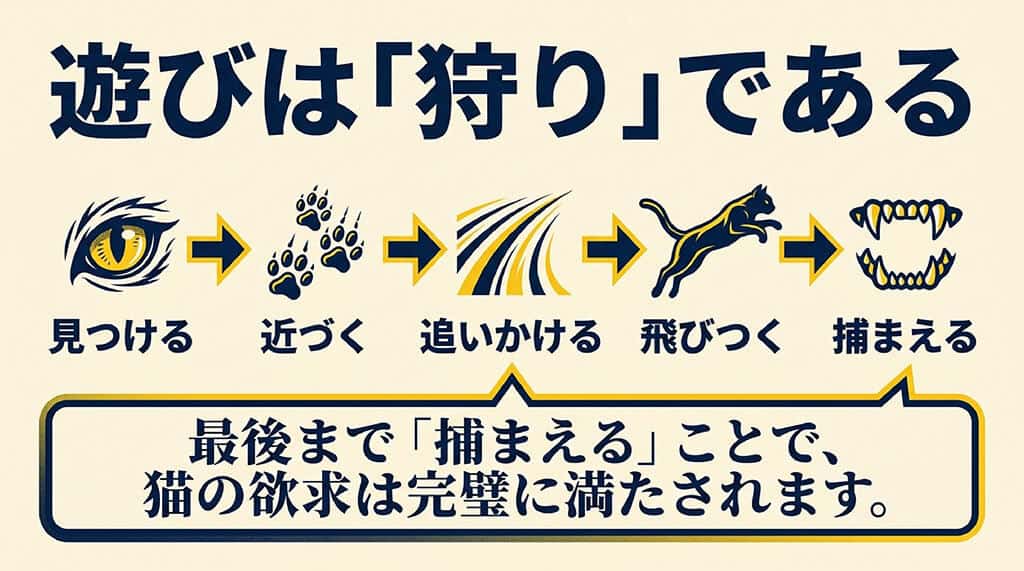 猫の遊びは狩りであるとし、見つける、近づく、追いかける、飛びつく、捕まえるの5つのステップを説明するイラスト