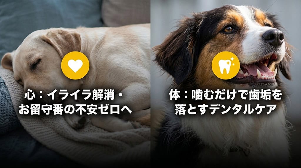 噛むおもちゃのメリットとして、心にはイライラ解消やお留守番の不安軽減、体には歯垢を落とすデンタルケア効果があることを示すスライド。