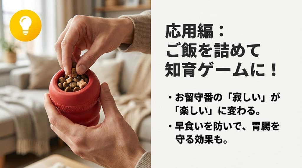 おもちゃにお出かけ前のご飯やペーストを詰めることで、お留守番の寂しさを楽しさに変え、早食い防止にも役立つ応用術を解説したスライド。