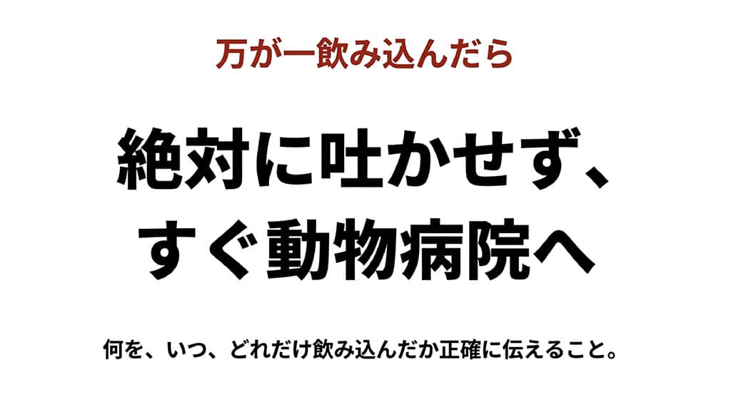 犬が手作りおもちゃを誤飲した時の緊急対応方法