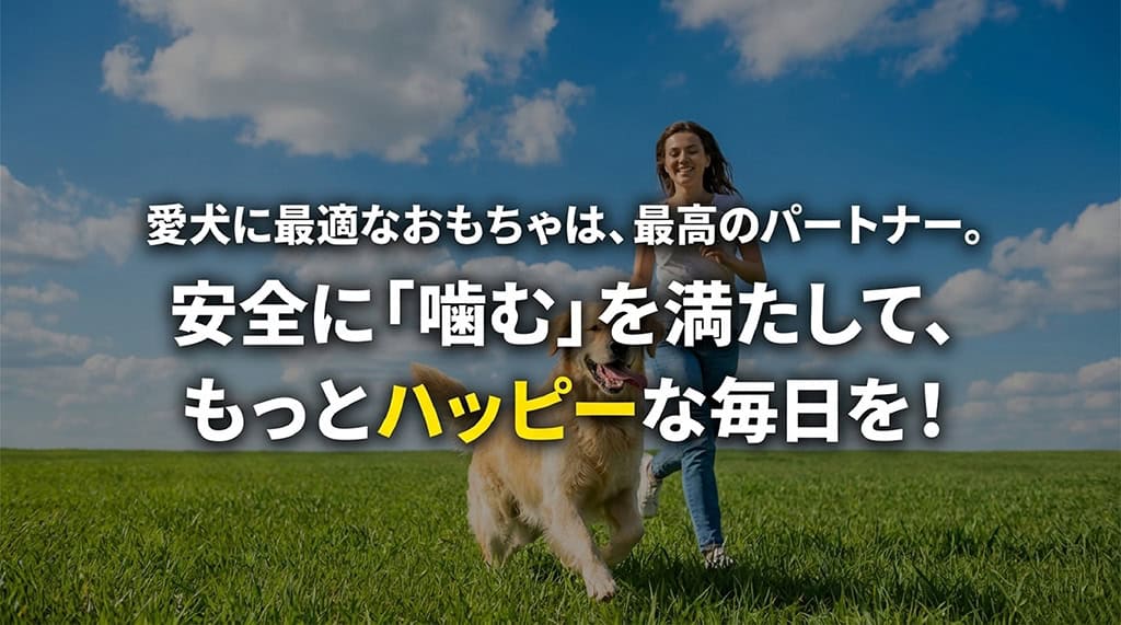 安全に「噛む」本能を満たす最適なおもちゃを選び、愛犬とハッピーな毎日を過ごそうと締めくくるまとめのスライド。