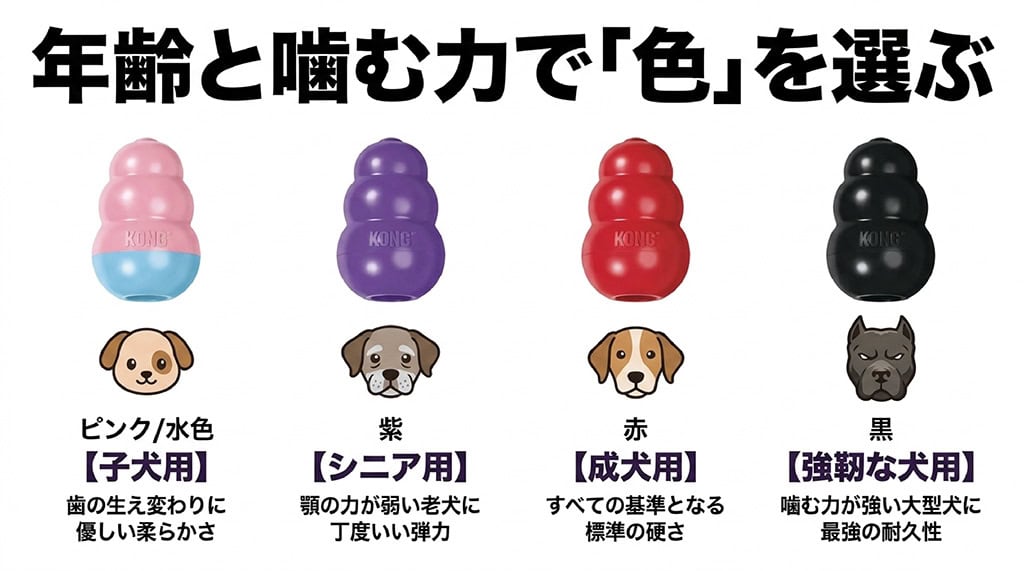 コングのゴムの硬さを色別に解説するスライド。子犬用のピンク・水色、シニア用の紫、成犬用の赤、強靭な犬用の黒の4種類それぞれの特徴を比較。