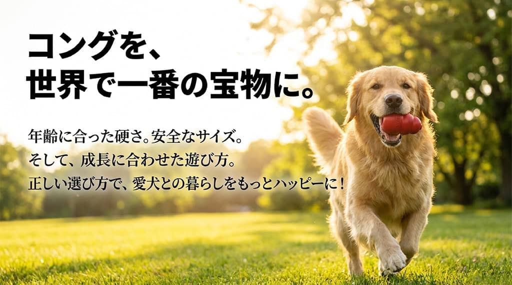 記事のまとめスライド。年齢に合った硬さ、安全なサイズ、成長に合わせた遊び方の3つの重要性を振り返り、コングを世界で一番の宝物にしようと結ぶメッセージ。