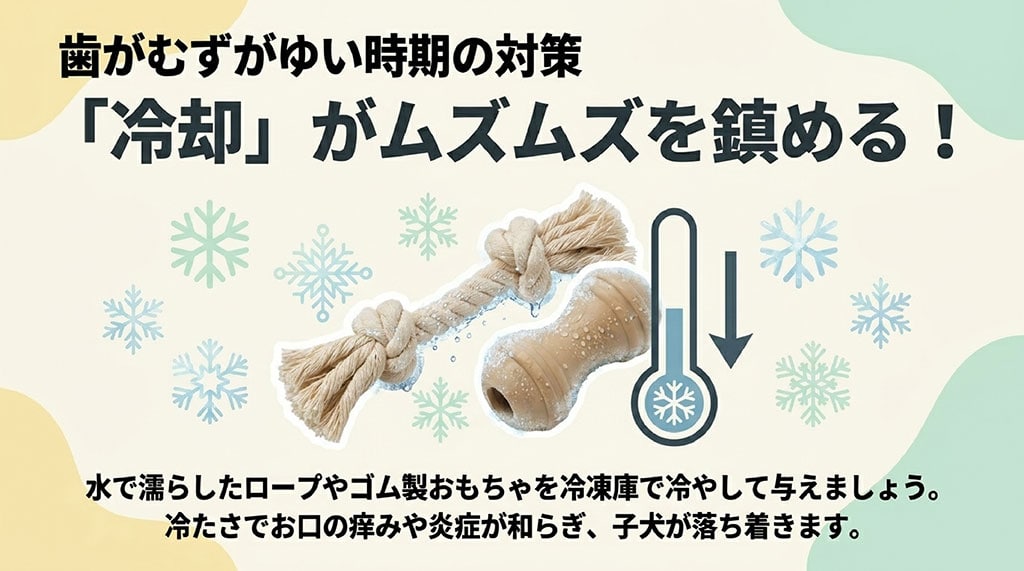 子犬の歯の生え変わり期のムズムズ対策として、水で濡らしたロープやゴム製おもちゃを冷凍庫で冷やして与える方法を説明したスライド。