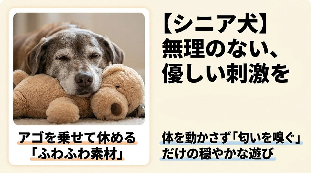 シニア犬向けのおもちゃは無理のない優しい刺激を。アゴを乗せて休めるふわふわ素材や、匂いを嗅ぐだけの穏やかな遊びがおすすめ。